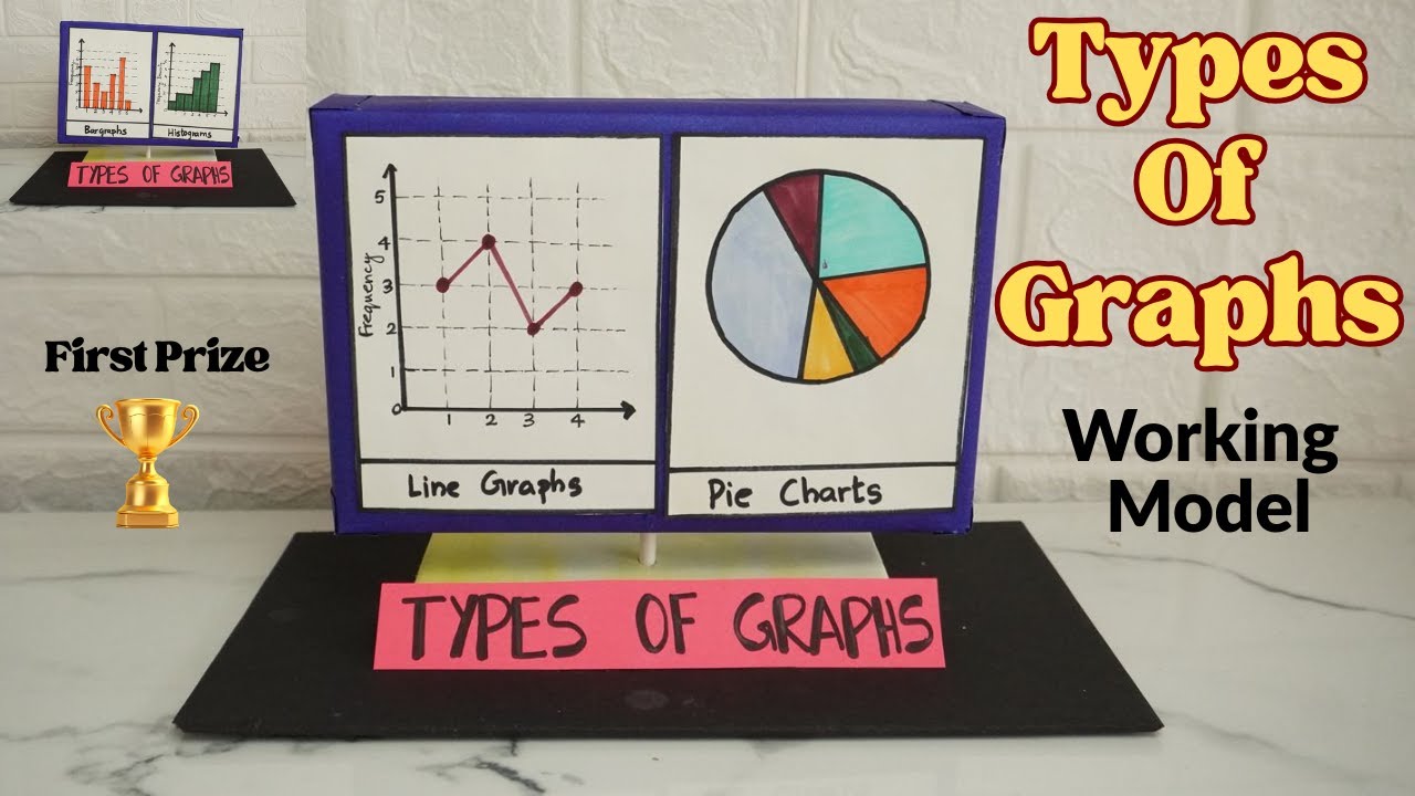 Types of Graph Working Model | Bar, Line, Pie Chart Explanation & Demonstration | Exhibition model