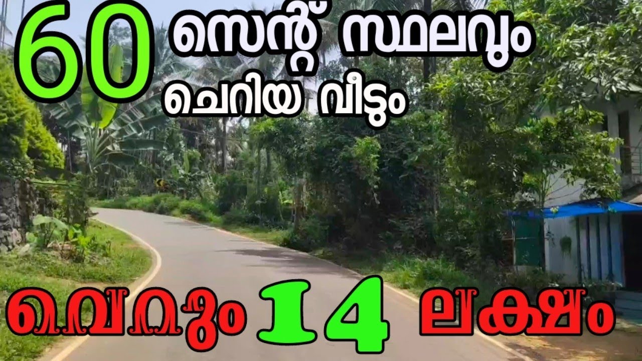 14 ലക്ഷത്തിന് 60 സെന്റും ചെറിയ വീടും വാങ്ങുന്നോ? | BEARS Real