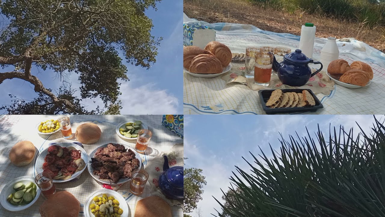 خرجة وغديوة عائلية في غابة تامسنا