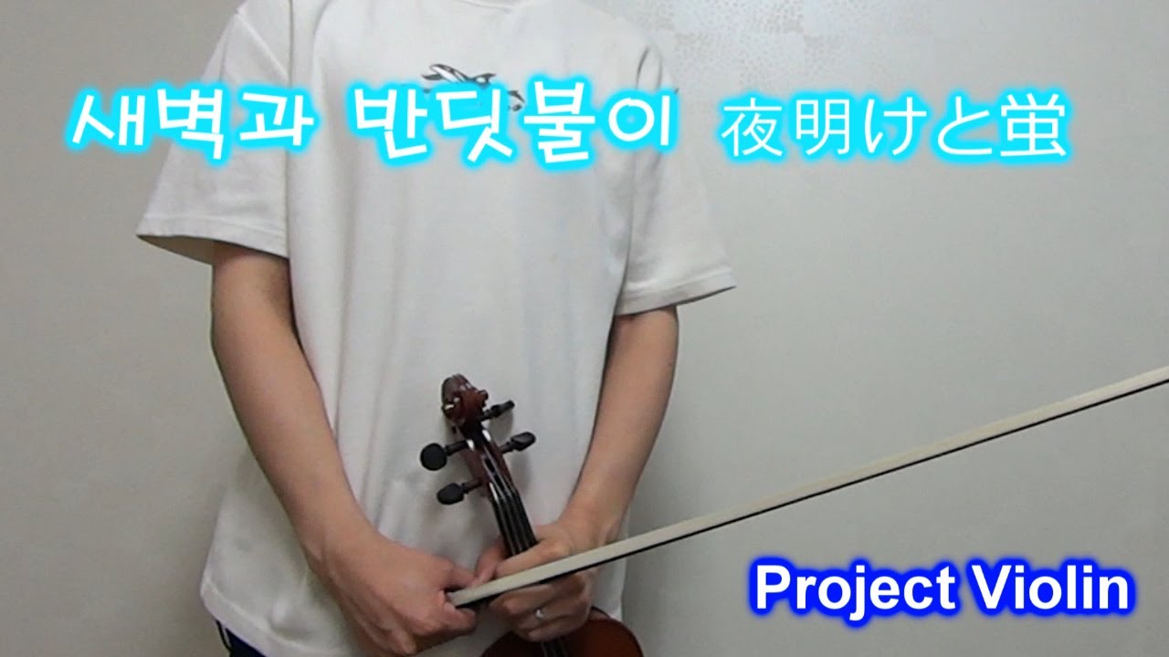 [Project Violin] n-buna - 새벽과 반딧불이(夜明けと蛍 Dawn and Firefly) violin cover