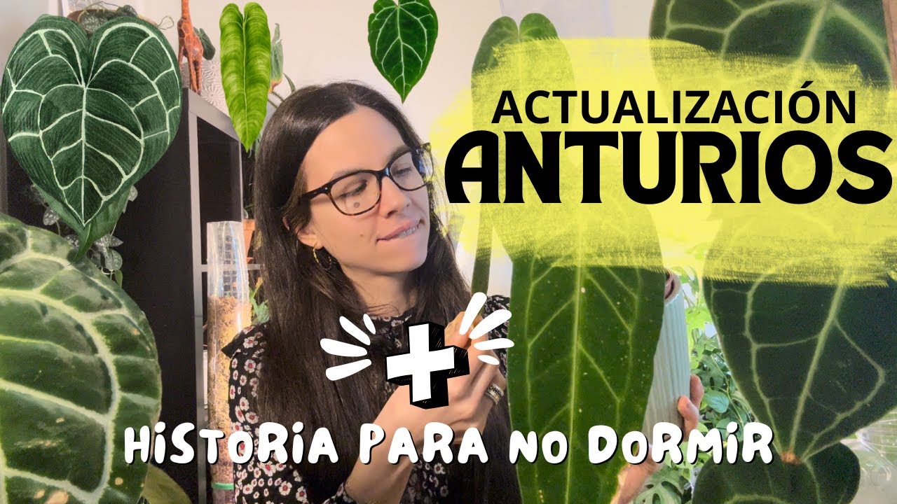 Así están mis Anturios 🌱 + Historia de terror con mi Waro 😱