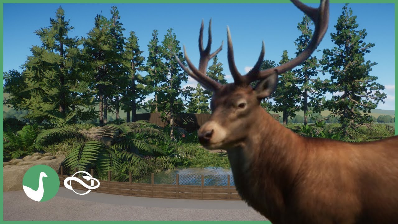 Red Deer Habitat | Pine Hill City Zoo | Planet Zoo🌲️