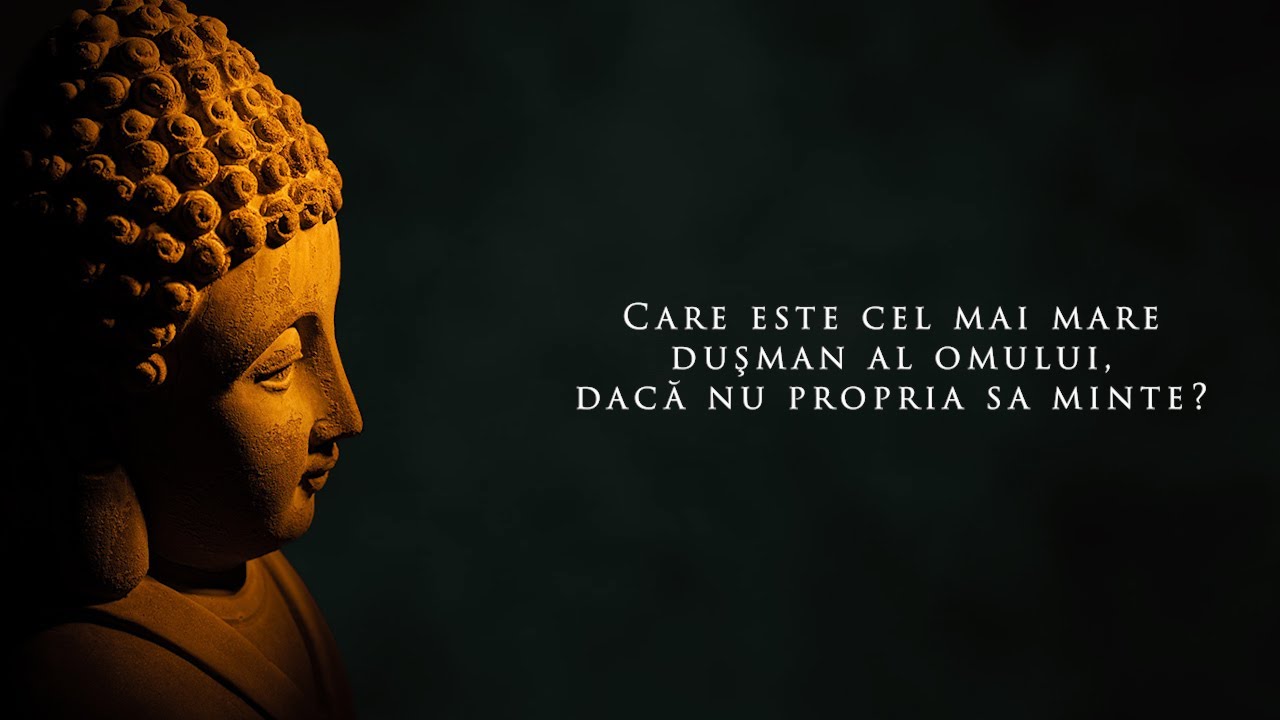 Buddha Citate