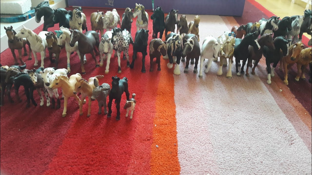 Pferd ab in deine Box
