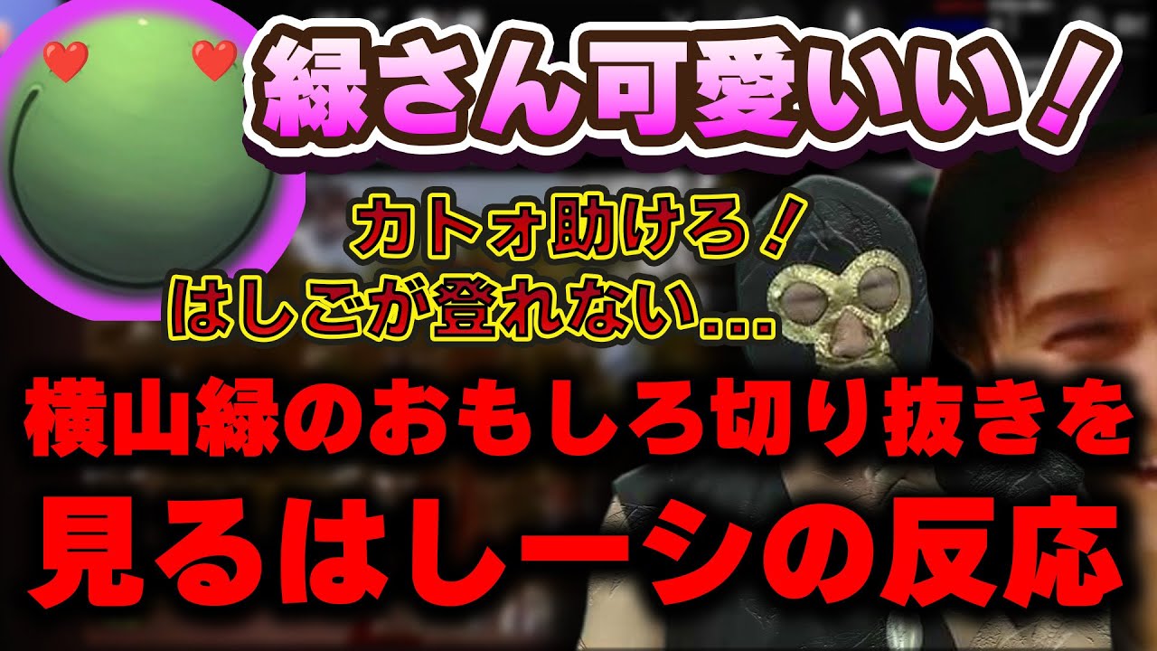 【ニコニコ老人会RUST】はりーシが見る横山緑大沼プレイ