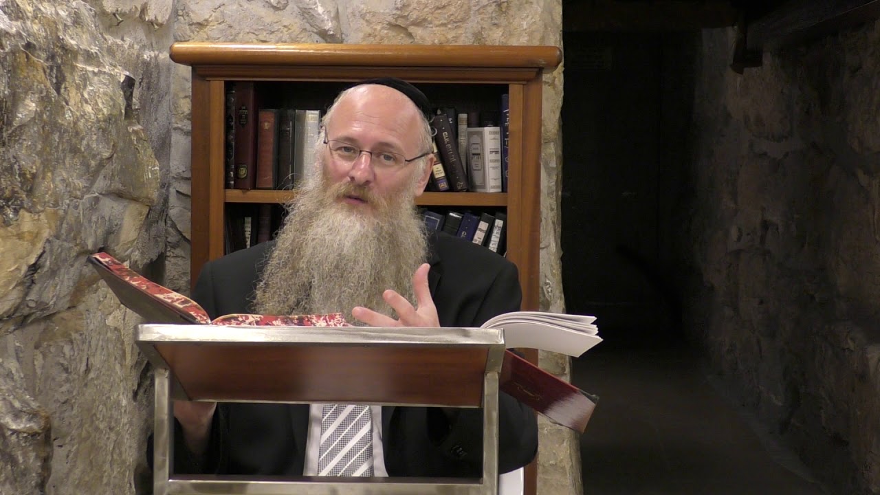 EL SECRETO DE LAS PLANTAS Y  LA TORAH