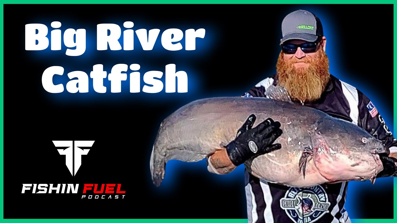 How To Catch Catfish - River Edition