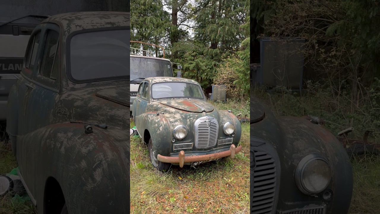 ABANDONED CAR COLLECTION #automobile #automobile #carcollection #cargraveyard #barnfind #explore #uk