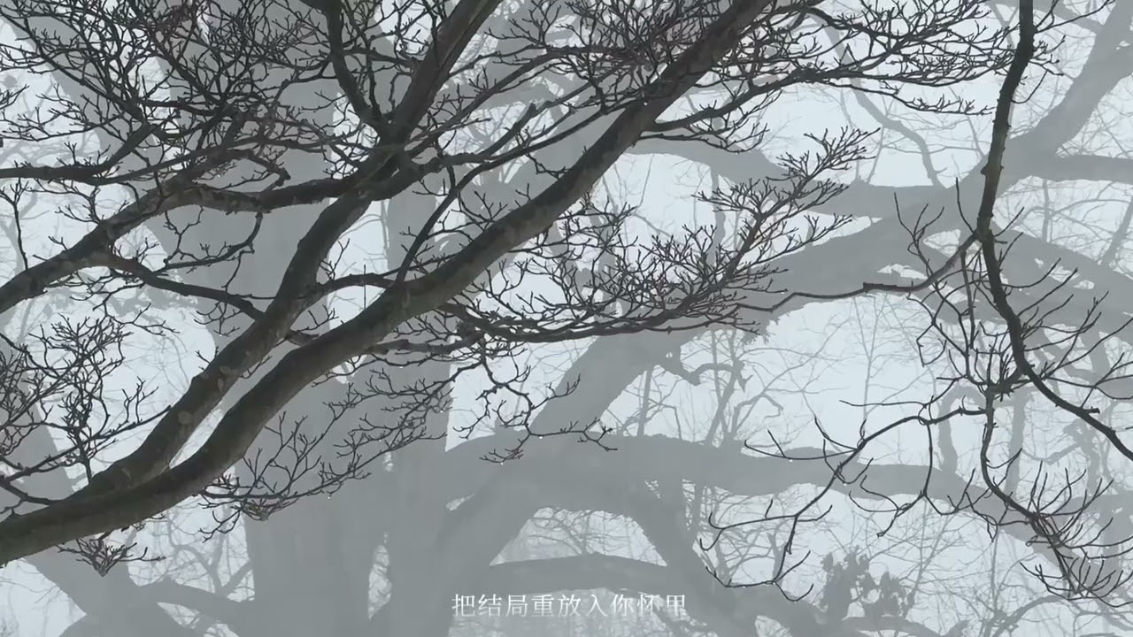 梦底雾里