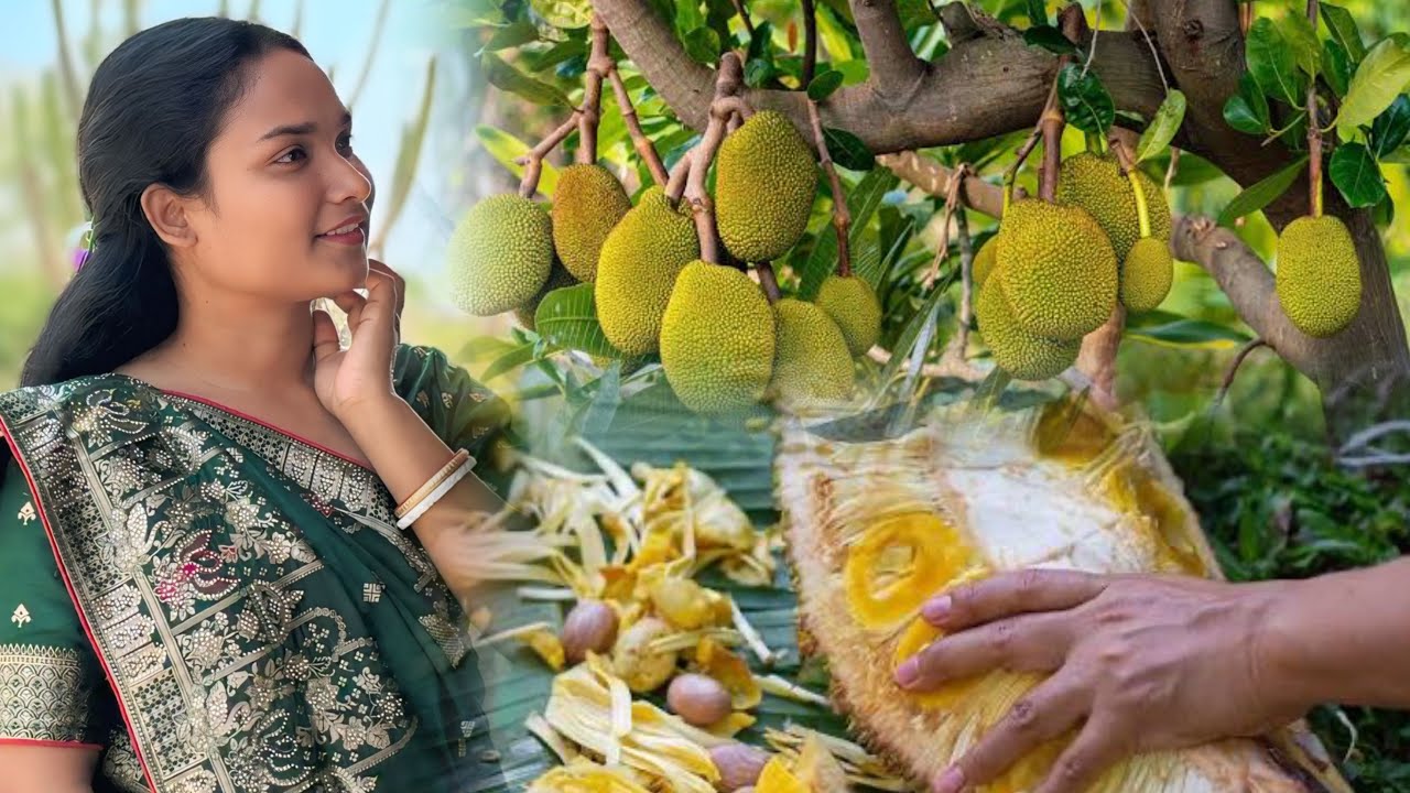 Kanthad ged trick nel pe😉😬// jackfruit cutting // Nitu Hembrom vlog santhali 