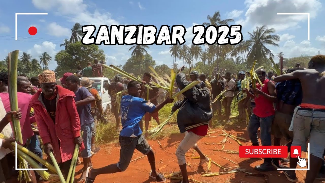 Vlog: Bitwa na liście bananowców na Zanzibarze (2025) 🍌🤺 | ZanziRaj