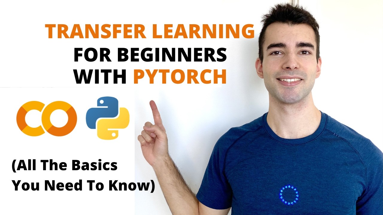 Учебник по трансферному обучению в PyTorch 2026 &mdash; Быстрое создание классификатора изображений