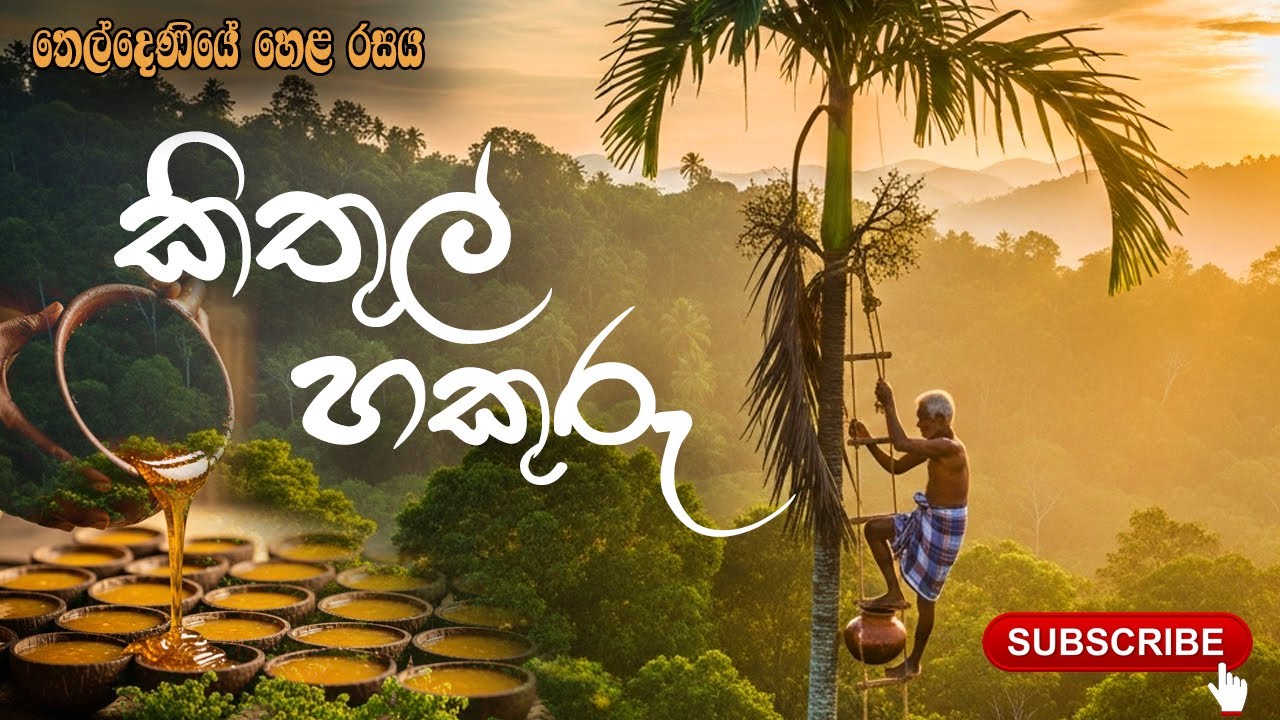 තෙල්දෙණියේ හෙළ රසය | ‍‍‍‍‍‍කිතුල් හකුරු හදන හැටි | Kithul Hakuru Making in Theldeniya | Sri Lanka