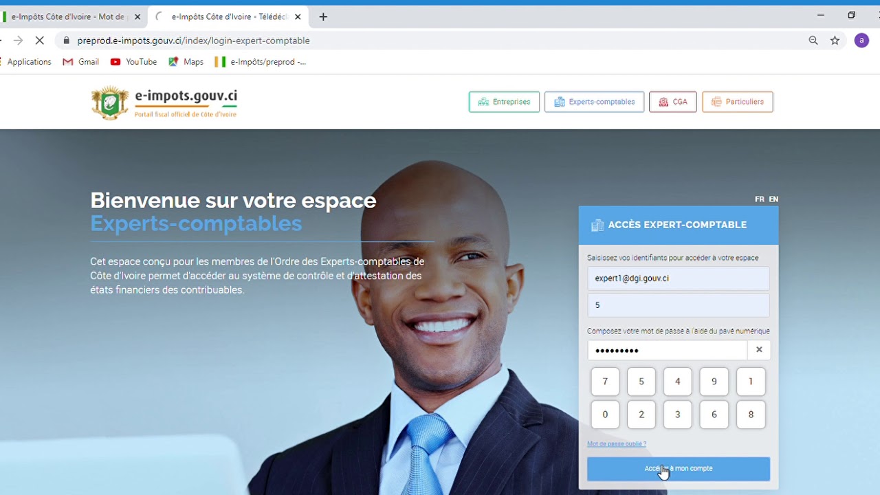 TELELIASSE Expert-comptable : Validation des états financiers en ligne