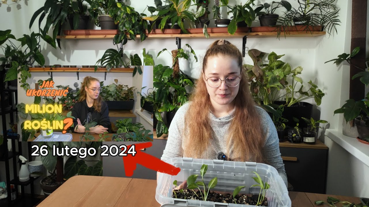 Pudło Ś*** - udamy eksperyment! Tworzę nowe!