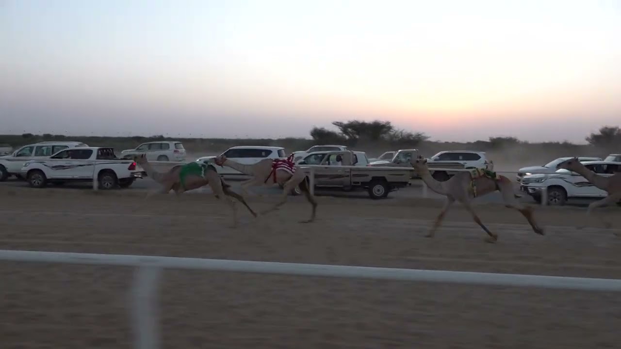 ش1 بكار حقايق 1445/11/26هـ - 2024/06/03م (الشبله) عبدالله جارالله النابت المري