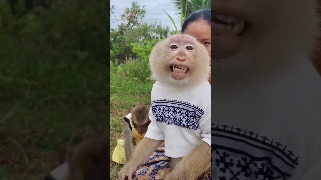 Ух ты, Яя, какая прелесть 🤩