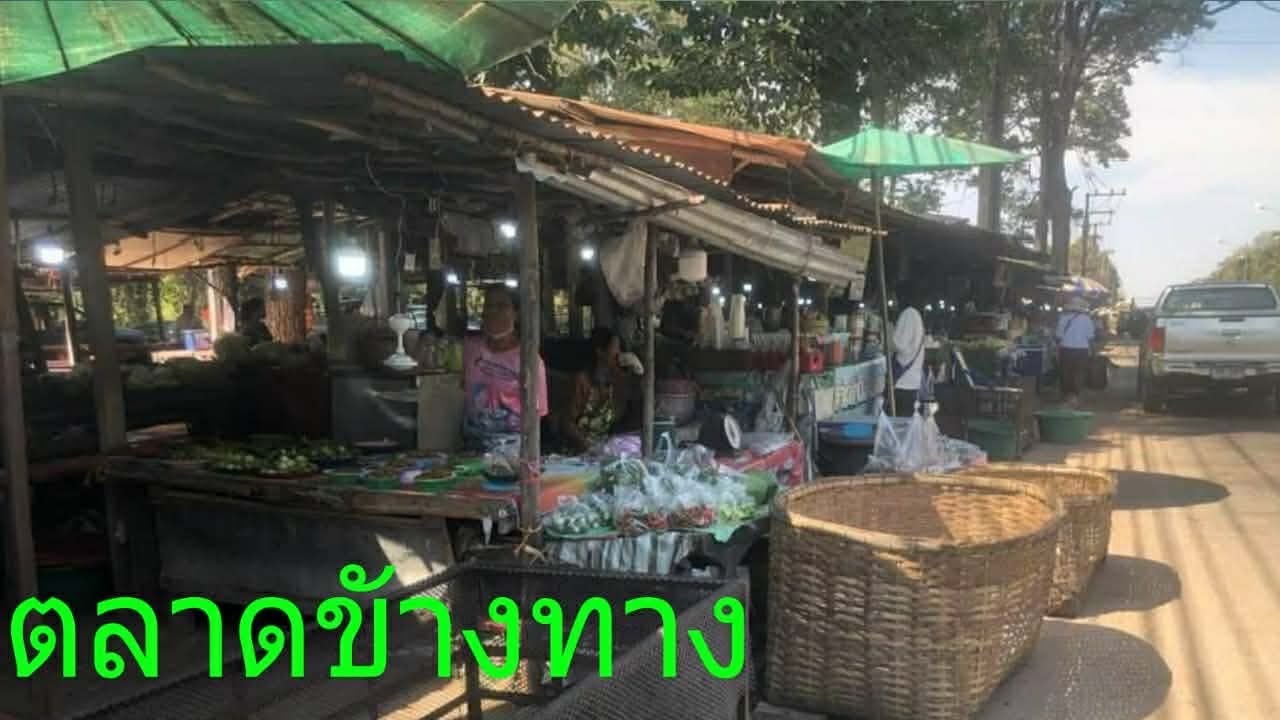 ตลาดข้างทางขายอาหารป่าตามฤดูกาล The roadside market sells wild game and metal food.