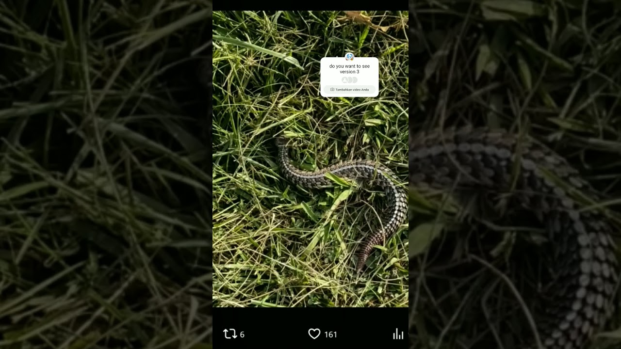 Archesuchus hunted by strange birds version 3 #archesuchus