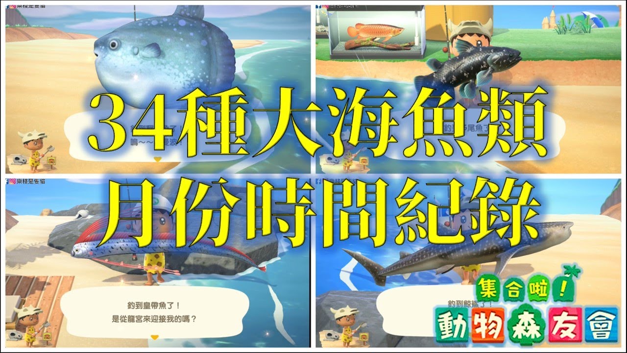 大海魚類34種月份時間全收錄 / 一起來釣魚吧 / 動物森友會 (樂棧是隻貓)