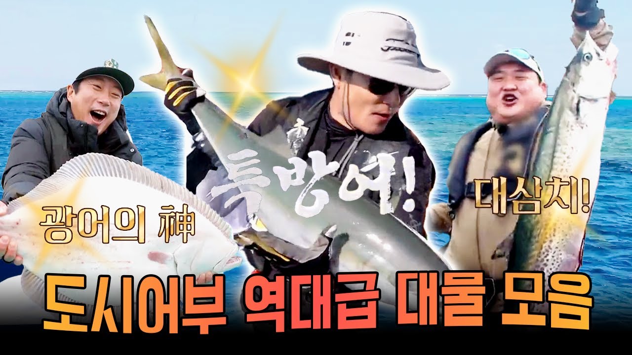 전설의 대물 싹 다 모았다!🎣  도시어부 대물 낚시 레전드 모음.zip | 도시어부