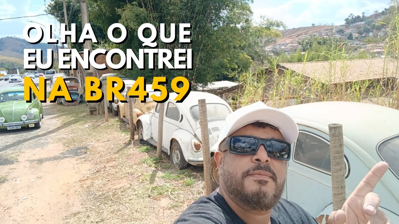 Visitei uma pequena 'mina de ouro' na BR 459 | Galpão71