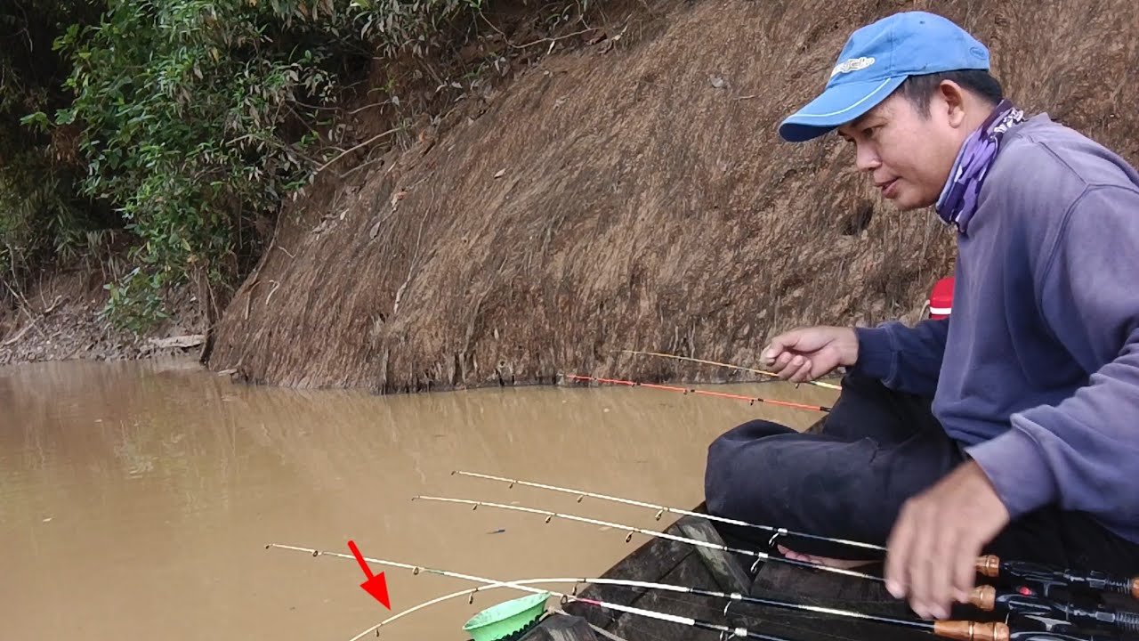 Saat Memancing Udang Galah Sungai Saya Menemukan Jejak Hewan Buas Disungai Ini