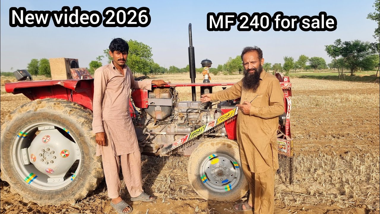 MF 240 tractor for sale | MF 240 | tractor MF 240 |tractor for sale | 2012 model | new tractor