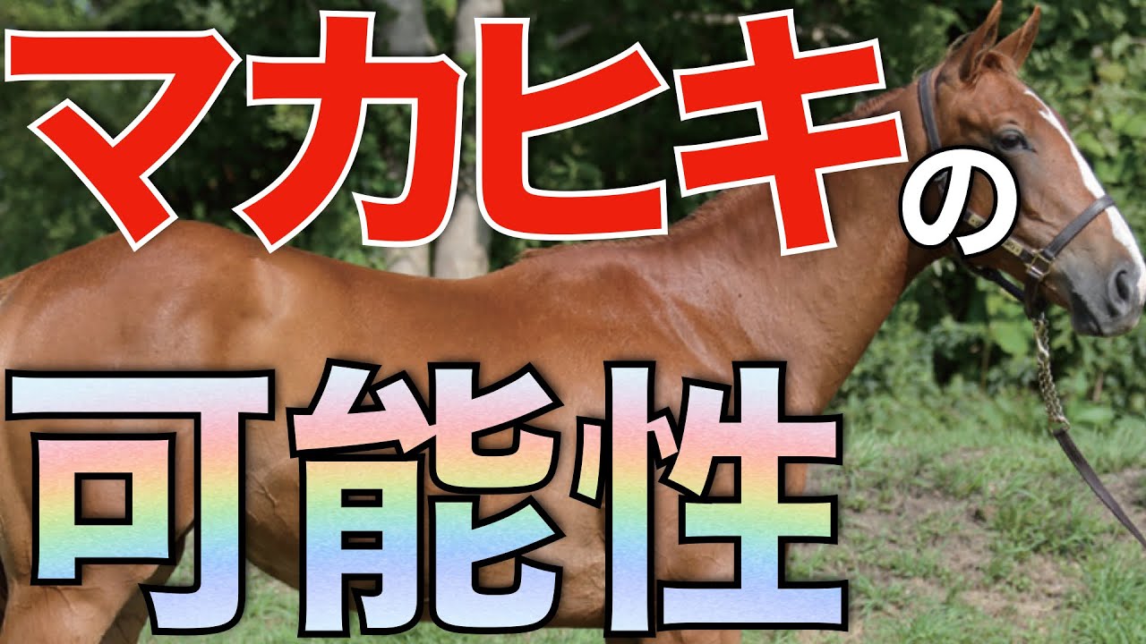 金子真人さんは間違いなく本気！新種牡馬マカヒキの可能性とは？