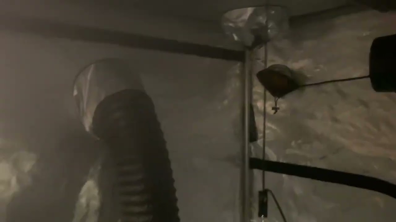 AC Infinity 8x4 Grow Tent
