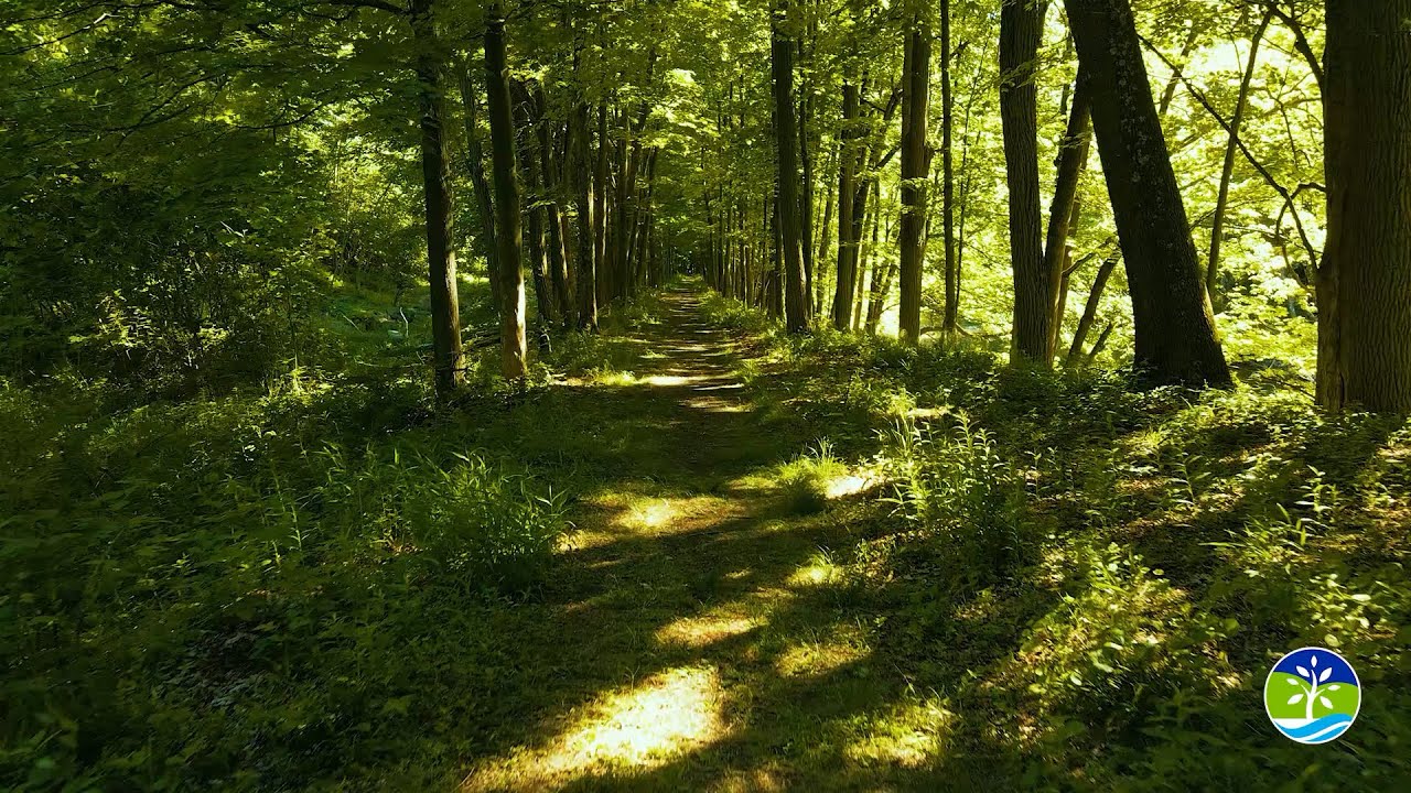 Discover Ellenville - Ellenville O&W Rail Trail