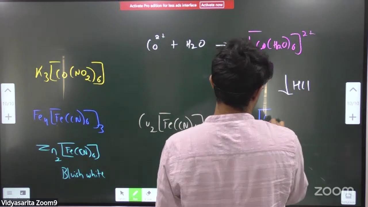 11 b1