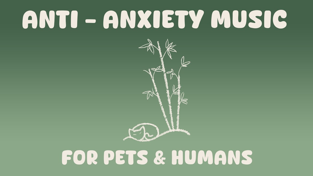 Zen Garden -  Lofi for Anxiety Relief (Pets & Humans) | Royalty Free BGM