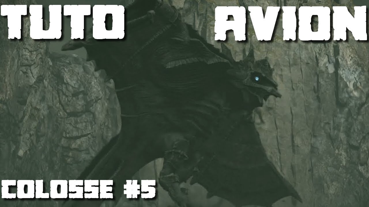 Tuto FR Colosse #5 AVION (Normal / Time Attack) SHADOW OF THE COLOSSUS (REMASTERED)