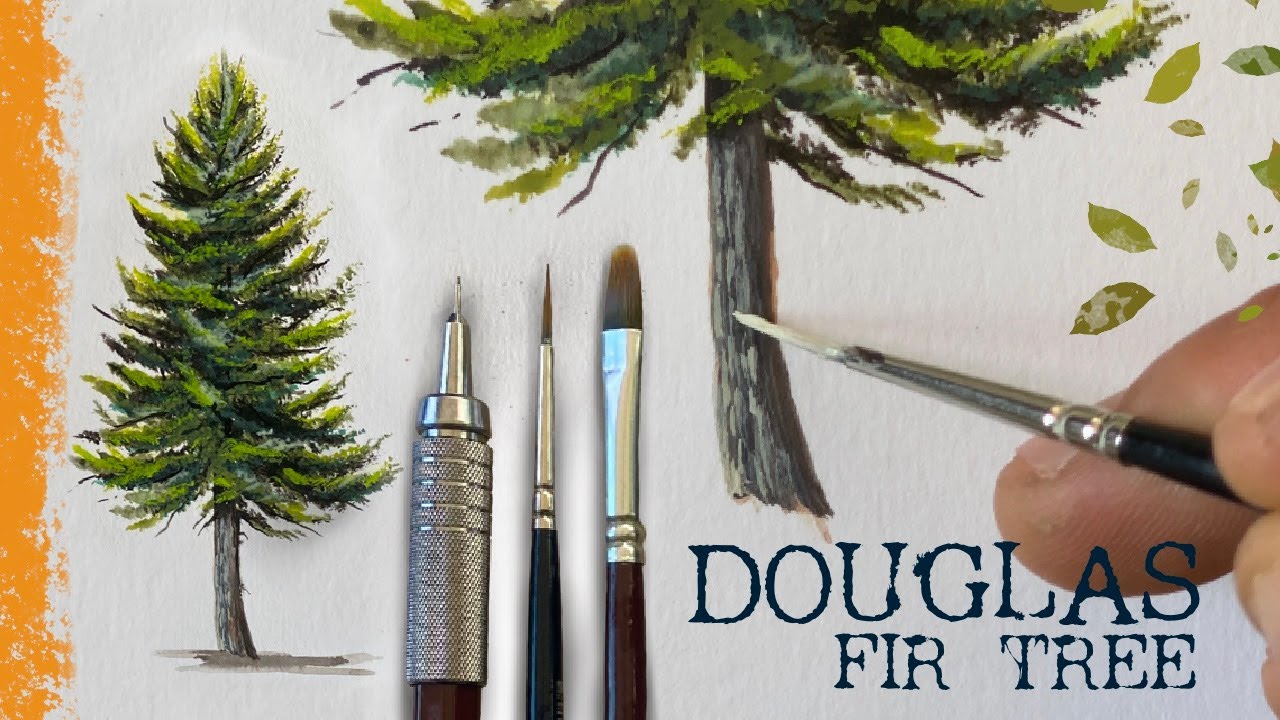 DOUGLAS FIR TREE | Timelapsed Wilderness Art Series