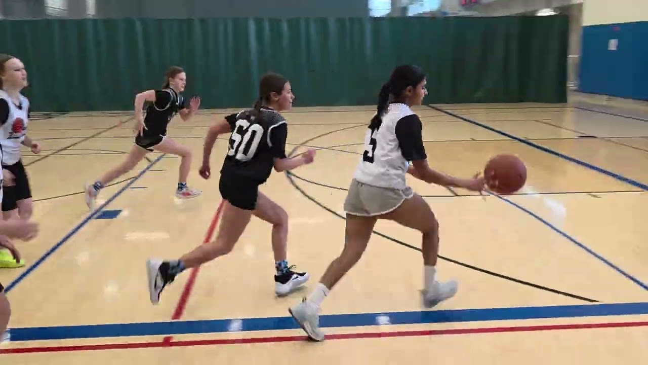 Sharks youth girls basketball game