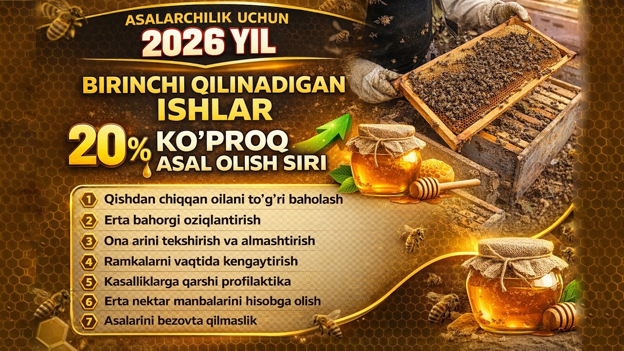 Birinchi qilinadigan ishlar — 20% ko‘proq asal olish siri 🍯