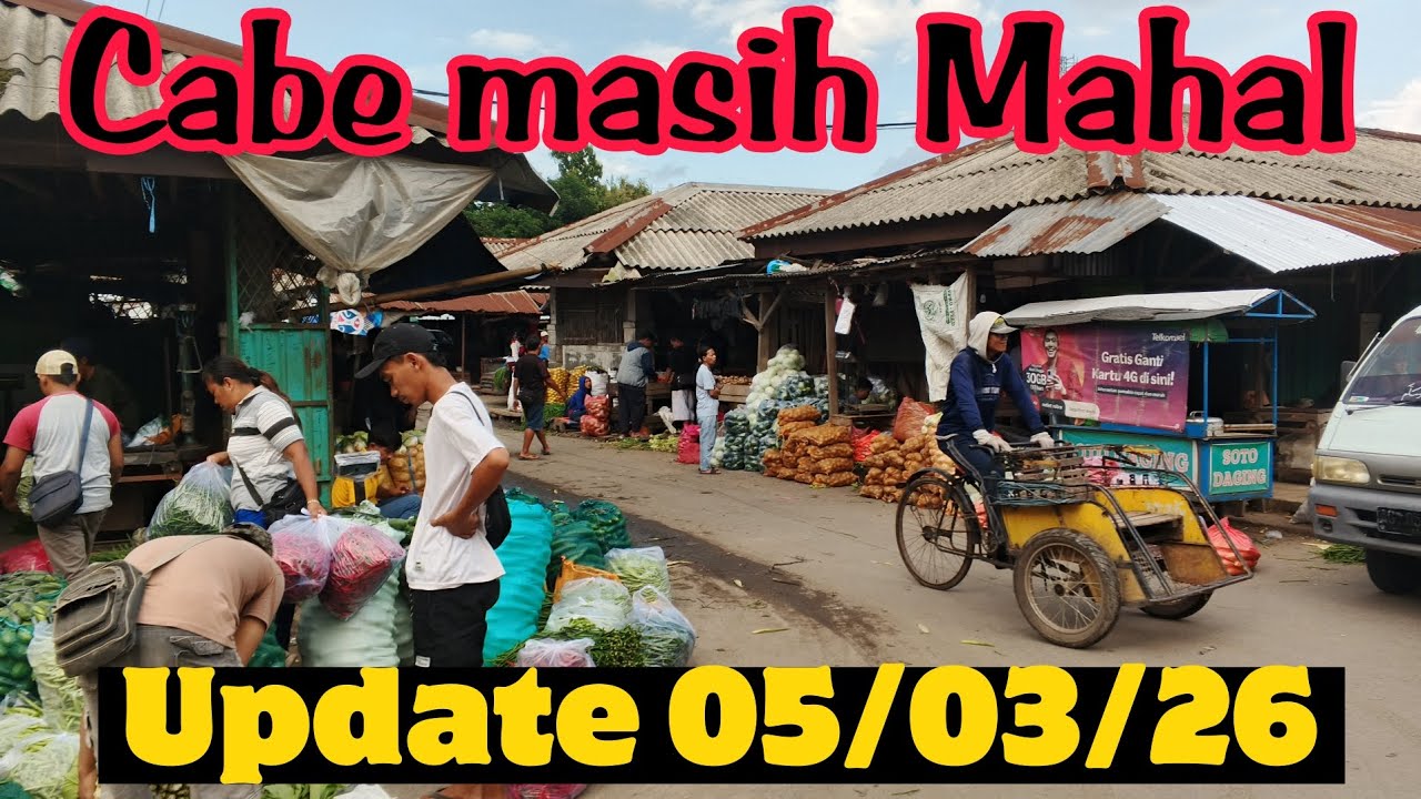 Harga cabe hari ini update harga terbaru pasar grosir ngronggo kota kediri(05/03/26)
