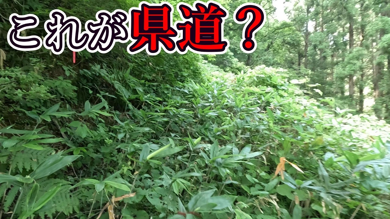 ねえ&hellip;？ 道どこ&hellip;？ [山形県道3号 米沢南陽白鷹線]