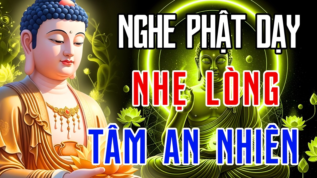 Mỗi Tối Nghe Lời Phật Dạy – Nhẹ Lòng, Buông Bỏ Phiền Muộn, Tâm An Tự Tại