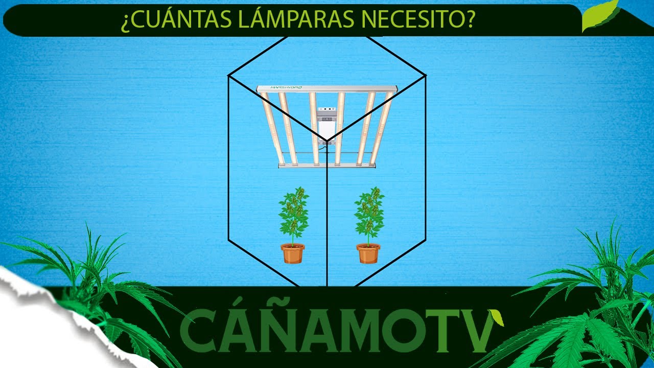 &iquest;CU&Aacute;NTAS L&Aacute;MPARAS NECESITO PARA MI CULTIVO? 💡 Mars Hydro FC-E4800