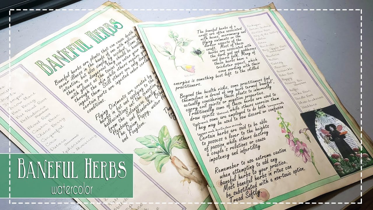 Watercolor Book of Shadows: Baneful Herbs