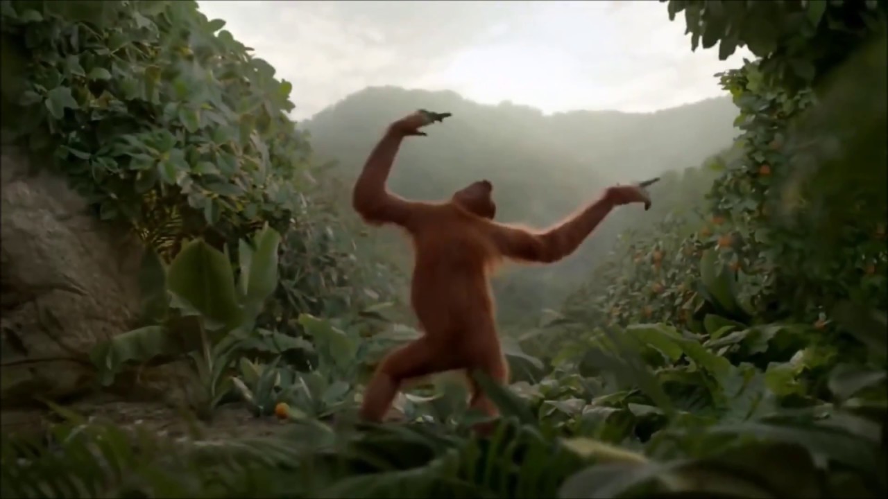 Birthday - Orangutan Dance - Beatles Cover