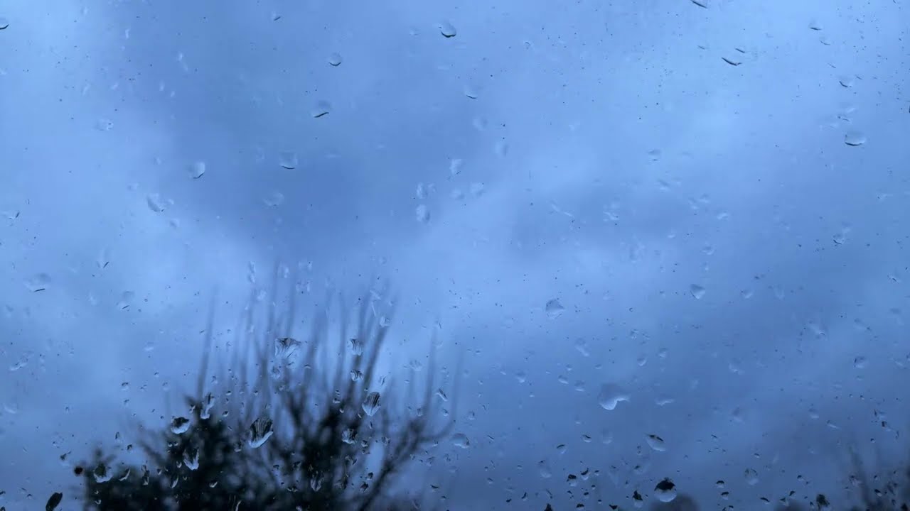 Wind and storm stream (12/03/26)