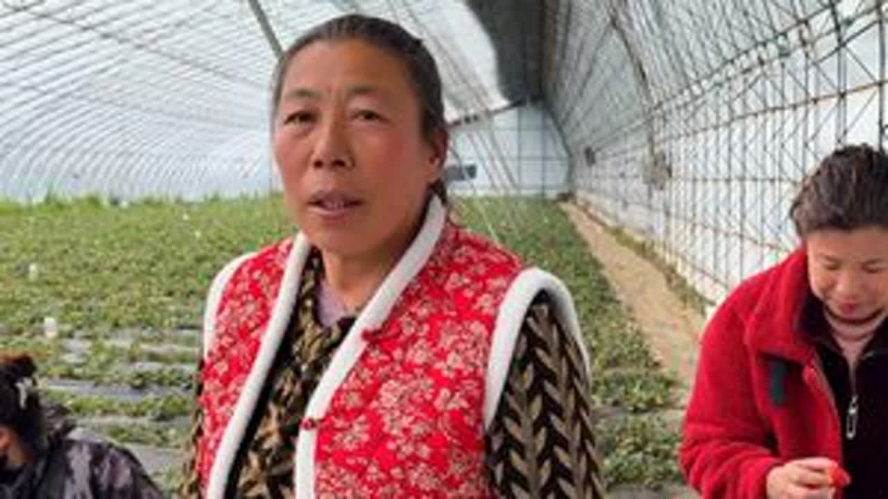 #我的乡村生活 #采摘采摘啦 做草莓罐头#抖音记录农村生活