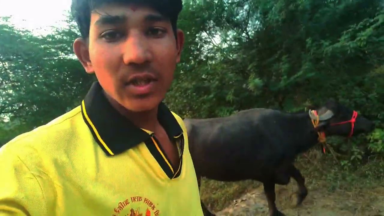 Gav me vlog bana liya  #growth #vlog #minivlog #viral #farming #comedy #cow #struggles