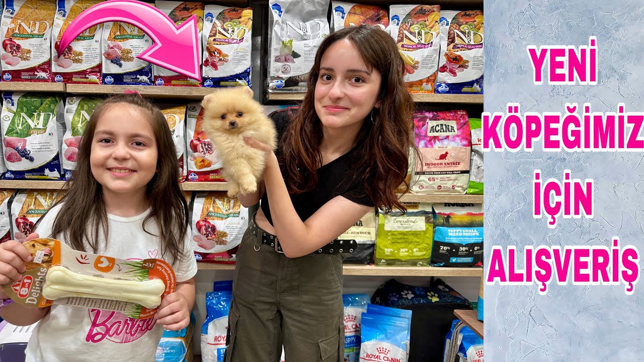 ZEYNEP HİRANUR YENİ KÖPEĞİMİZ İÇİN ALIŞVERİŞ YAPTIK NELER ALDIK !? ( pomeranian )