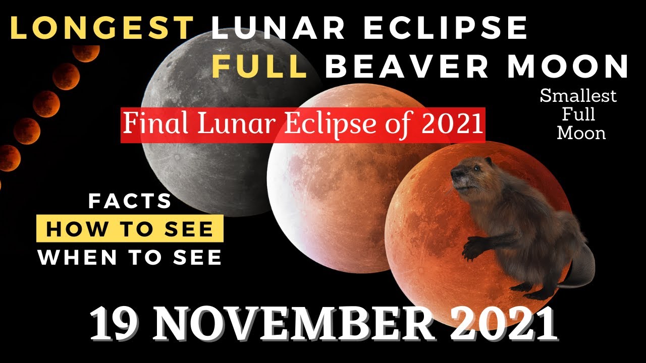 Full Moon November 2021 | Full Beaver Moon | Longest Partial Lunar Eclipse November 2021 | Taurus