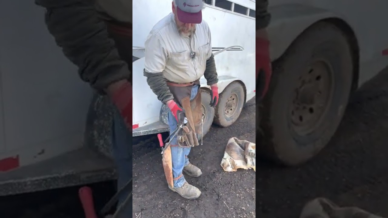 My New Shoeing Chaps And Tool Tour RJF
