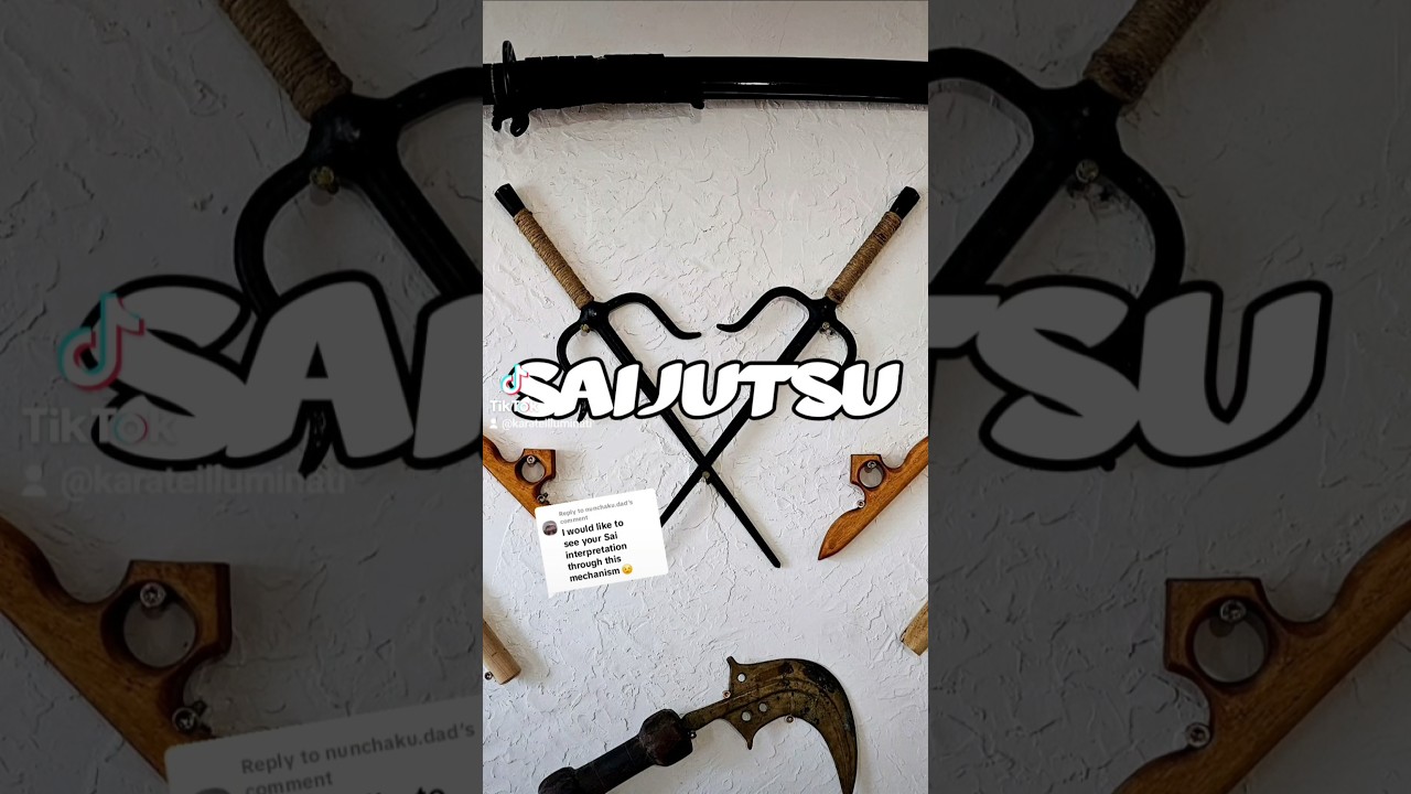 Saijutsu Example #kobudo #weapons #sai #ilpracticalkarate